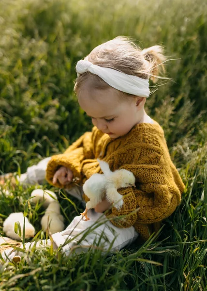 Little Girl Playing Chicks Field Sitting Green Grass — Stock Photo, Image