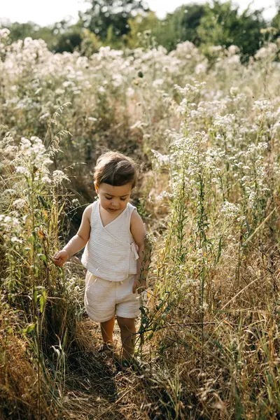 Little girl walking on a field with tall grass, on a summer day.