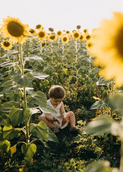 Little girl playing with soil, sitting in a sunflower field.