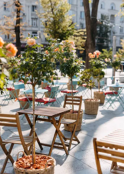 Outdoor Cafe Met Metalen Tafels Stoelen Omgeven Door Potplanten Stockfoto