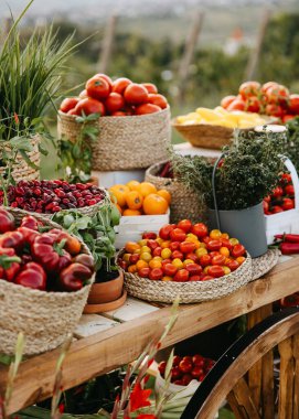 Kırsal bir ahşap sepetin üzerindeki domates, biber, bitkiler ve kırmızı biber sepetlerinde taze sebze..