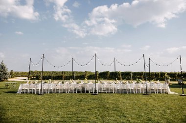 Uzun bir ziyafet masası, beyaz sandalyeler, peri ışıkları, yemyeşil bir arkaplan ve bir üzüm bağıyla şık bir açık hava yemek takımı..