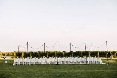 Uzun bir ziyafet masası, beyaz sandalyeler, peri ışıkları, yemyeşil bir arkaplan ve bir üzüm bağıyla şık bir açık hava yemek takımı..