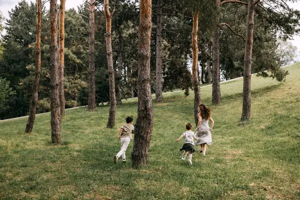 Anne ve iki çocuk bir orman parkında çam ağaçlarının arasından yokuş yukarı koşuyorlar.