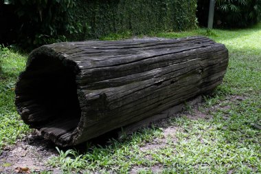 Bahçede oturmak için büyük bir kütük.