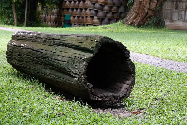 Big Wood Log Sitting Yard — Stock Photo, Image