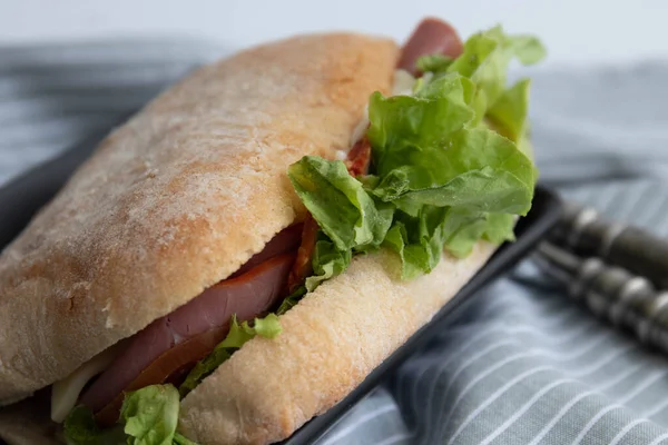 Υγιεινό Γρήγορο Γεύμα Για Σύγχρονο Τρόπο Ζωής Σάντουιτς Ciabatta Παστράμι — Φωτογραφία Αρχείου
