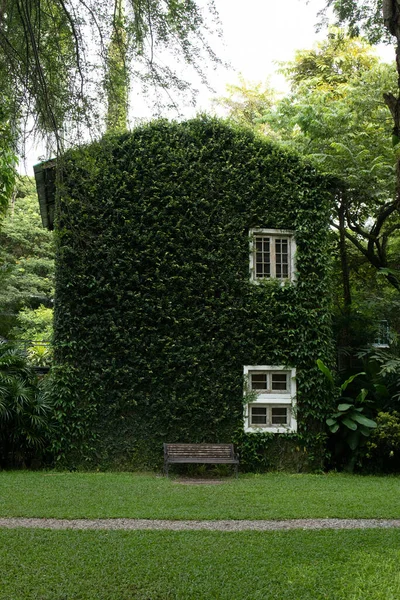Εξοχική Κατοικία Λευκό Πλαίσιο Παράθυρα Καλύπτονται Πράσινο Creepers — Φωτογραφία Αρχείου