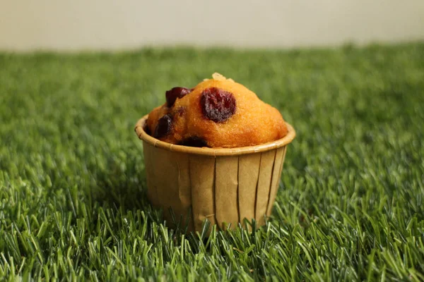 Muffin Arándano Casero Tablero Madera — Foto de Stock