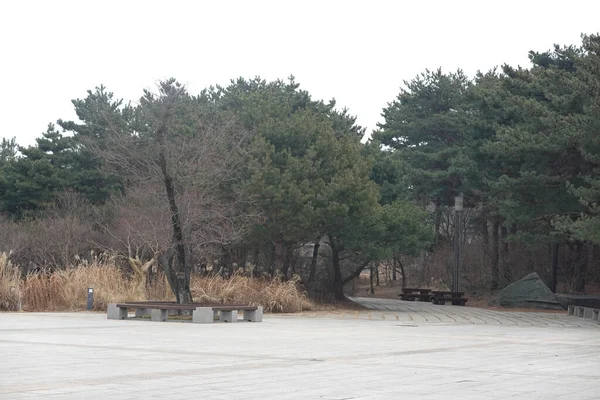 Пейзаж Парка Национального Музея Сеула Южная Корея — стоковое фото
