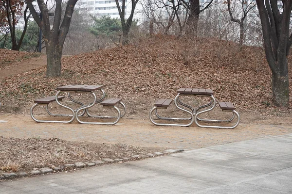 Picknick Ecke Landschaft Des Parks Des Seoul National Museum Südkorea — Stockfoto