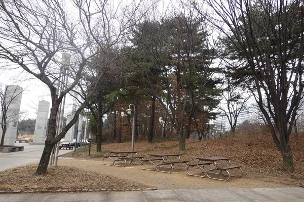 Szöuli Nemzeti Múzeum Parkjának Látképe Dél Korea — Stock Fotó