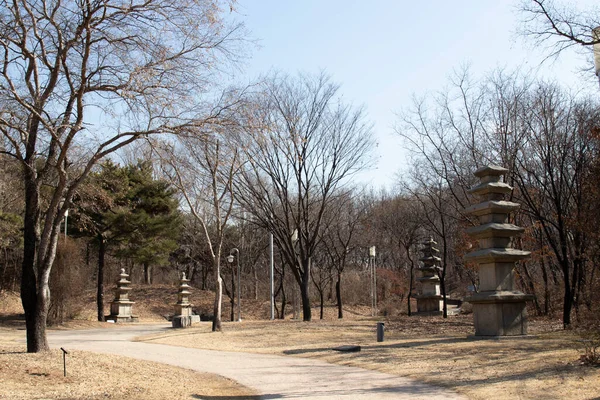 写真は2023年2月17日に撮影されたソウル国立博物館と公園 — ストック写真