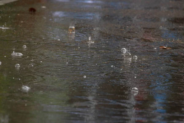 Potopa Silnici Období Dešťů — Stock fotografie