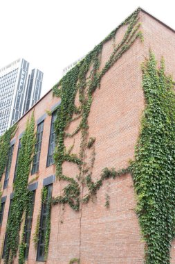 Sanayi tarzı ve modern kentsel mimari kombinasyonu altında yaşam tarzı alışveriş merkezi, dinlenme alanı ve sanat müzeleri. Doğu banliyösü Chengdu, Çin 'de. Bu fotoğraf 15 Temmuz 2024 'te çekildi.