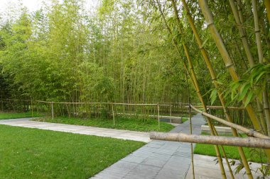 Çin arkeolojik sitesi Jinsha Müzesi 'nde bulunan eşyalar ve özellikler sergilenmektedir. Buna altın güneş kuşu, gülümseyen altın maske ve diz çökmüş taş figürler de dahil. Bu fotoğraf 15 Temmuz 2024 'te Chengdu, Çin' de çekildi.