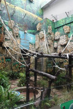 Macao Dev Panda Pavyonu 'nun sahnesi, bu fotoğraf Aralık 2023' te çekildi, Macao