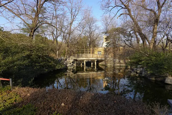 stock image Scenery of The lake of Beijing Zoo in Winter This Zoo is in Beijing, China, This photo is taken on March 21, 2024