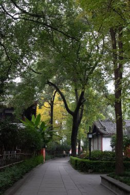 Wenshu Yuan Manastırı Çin 'in Chengdu şehrinde. Bu fotoğraf 23 Kasım 2023' te çekildi.