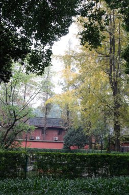 Wenshu Yuan Manastırı Çin 'in Chengdu şehrinde. Bu fotoğraf 23 Kasım 2023' te çekildi.
