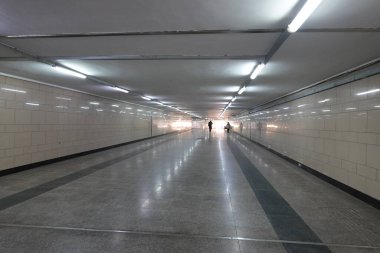 Pekin Hayvanat Bahçesi Baharı, Pekin Hayvanat Bahçesi, Konum, Pekin Çin Tarihi: 20 Mart 2024