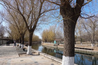 Pekin Hayvanat Bahçesi Baharı, Pekin Hayvanat Bahçesi, Konum, Pekin Çin Tarihi: 20 Mart 2024