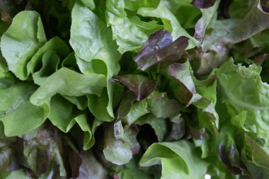 Arka plan için organik sebzelerin dokusunu ve desenini kapat