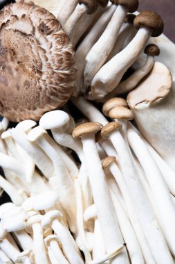 Siyah Arkaplanda Taze Organik Mantar Dokusunu ve Desenini Kapat