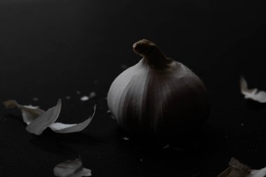 Siyah arka planda taze organik sarımsağı kapat