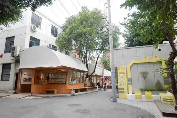 Chengdu, Yulin Alley Mahallesi 'nin ilk yerleşim alanlarından biri: Kamu Alanı Yenileme, Bu Fotoğraf Şubat 2025' te çekilmiştir, Chengdu Çin