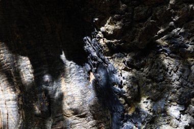 Eski ahşabın yüzeyi ve doğal dokusu..