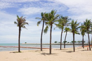 Beyaz bulutlarla dolu bir gökyüzünün altında durgun, gri-mavi bir denize açılan kumlu bir sahil..