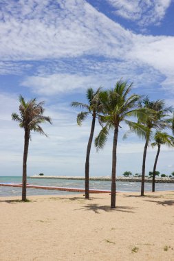 Beyaz bulutlarla dolu bir gökyüzünün altında durgun, gri-mavi bir denize açılan kumlu bir sahil..