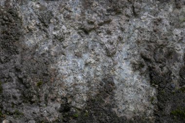 Kaya ve bulanık yosun dokusu yakın, taşın açıkta kalan kısmı çoğunlukla çıplak ama yosun ve yosun parçalarını gösteriyor.