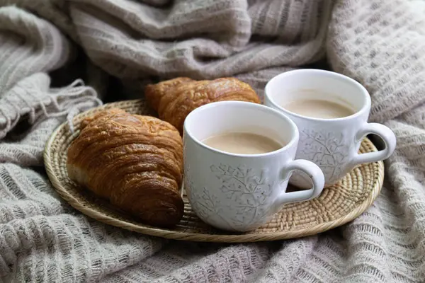 Sıcak battaniyenin altında ayçöreği ve kahveyle sakin bir sabah.