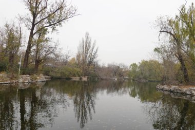 Sonbaharda gölün manzarası, yapraklar renk değiştirirken huzurlu ve huzurlu.