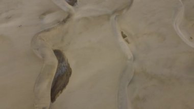 Bu hava görüntüleri, Gran Canaria adasındaki Maspaloma 'daki kum tepeciklerinin büyüleyici hareketlerini yakalar. Rüzgarın kum tepelerini karmaşık desenlere dönüştürdüğü sürekli değişen manzaraya tanık olun..
