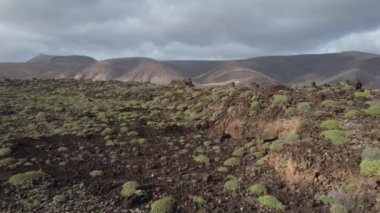 Lanzarote 'un çarpıcı volkanik arazisinde dolaşmak, bereketli yeşilliğin dramatik bir gökyüzü altında engebeli dağlarla tezat oluşturduğu, doğanın saf güzellik ve dayanıklılığını gözler önüne seren,.