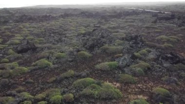 Lanzarote 'nin dramatik volkanik arazisine karşı yemyeşil bitki örtüsünün çarpıcı kontrastını keşfedin. Bu nefes kesen manzarada tecrübe doğası esnekliği.