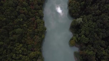Bereketli yaprakların ortasında, Rhone 'un sakin suları, Ecluse Kalesi ve Longeray' ın manzaralı manzarasını örüyor. Doğanın güzelliği her bakışta ortaya çıkar..