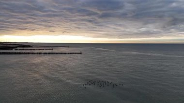 Şafak sökerken Zeeland kıyı şeridinde Kuzey Denizi sabah ışığının yumuşak tonlarını yansıtır. Ördekler zarif bir şekilde yüzerek bu huzurlu toprakların huzurlu sularında dalgalanmalar yaratırlar..
