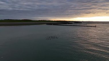 Kuzey Denizi 'nin sakin suları şafak vakti Zeeland' de huzurlu bir tuval oluşturur. Ördekler zarif bir şekilde yüzey boyunca hareket eder, güzel bir kıyı şeridi ve yumuşak, parıldayan bir gökyüzü tarafından çerçevelenir..