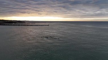 Hollanda 'nın sakin güzelliğine tanık olun. Gemiler ve yatlar çarpıcı sahil şeridinde zarifçe süzülüyorlar. Ufuk büyüleyici bir alacakaranlık sergiliyor, barışçıl atmosferi güçlendiriyor..