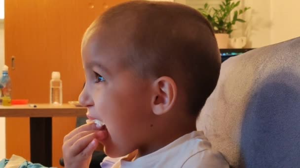 Маленький Хлопчик Їсть Бутерброд — стокове відео