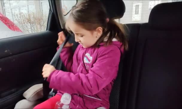 Safety Seatbelt Kid Car — Stock Video