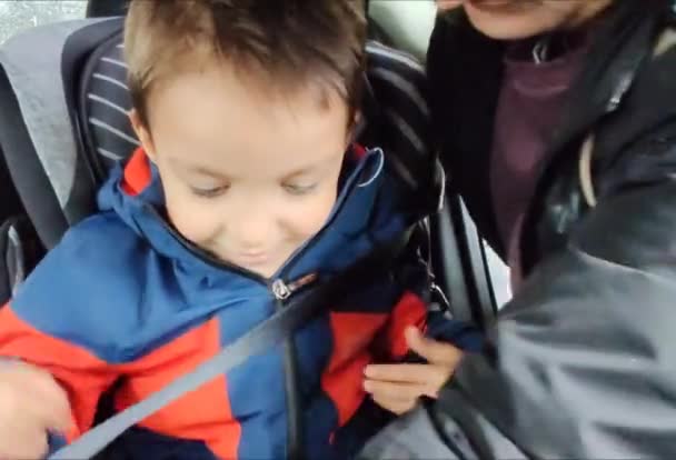 Pasy Bezpieczeństwa Dla Dziecka Samochodzie — Wideo stockowe