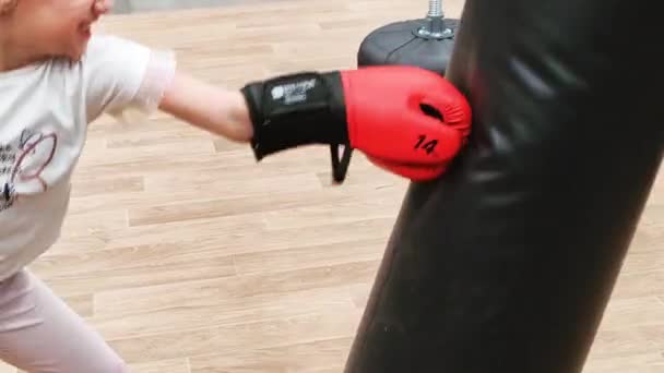 Preteen Caucasian Girl Red Black Gloves Sportswear Practicing Boxing — Stock Video