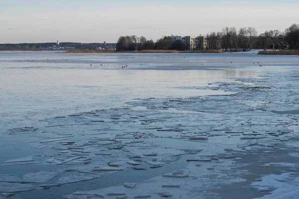 Broken ice lake. Snowy cold winter. Ice drift. Spring is coming. Winter inspiration. Riga, Latvia