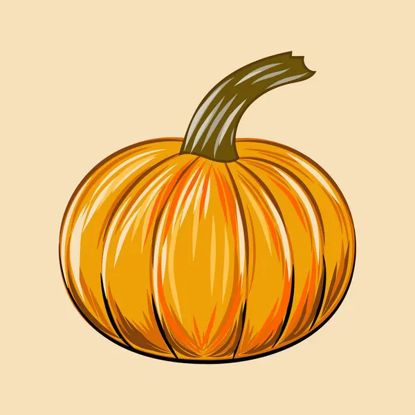 Orange Pumpkin Vector Illustration Autumn Halloween Thanksgiving Pumpkin Vegetable Graphic — Stock Vector