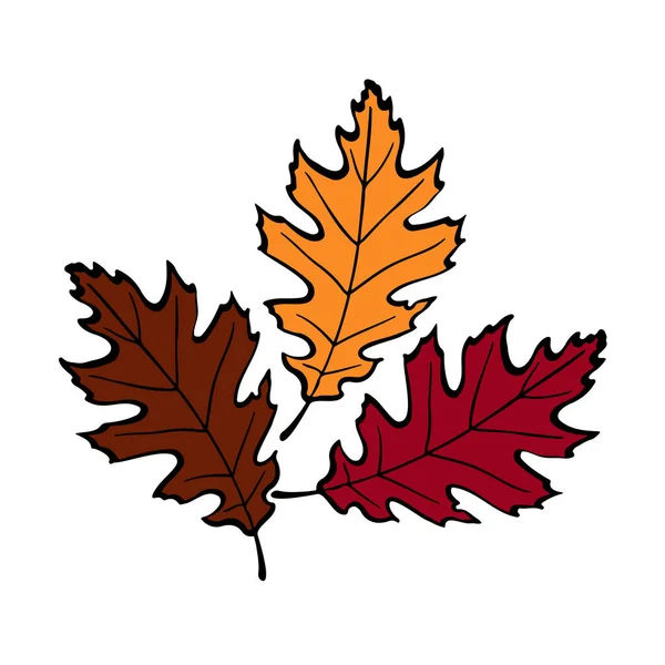 Oak Meninggalkan Logotype Alami Terisolasi Pada Latar Belakang Putih - Stok Vektor